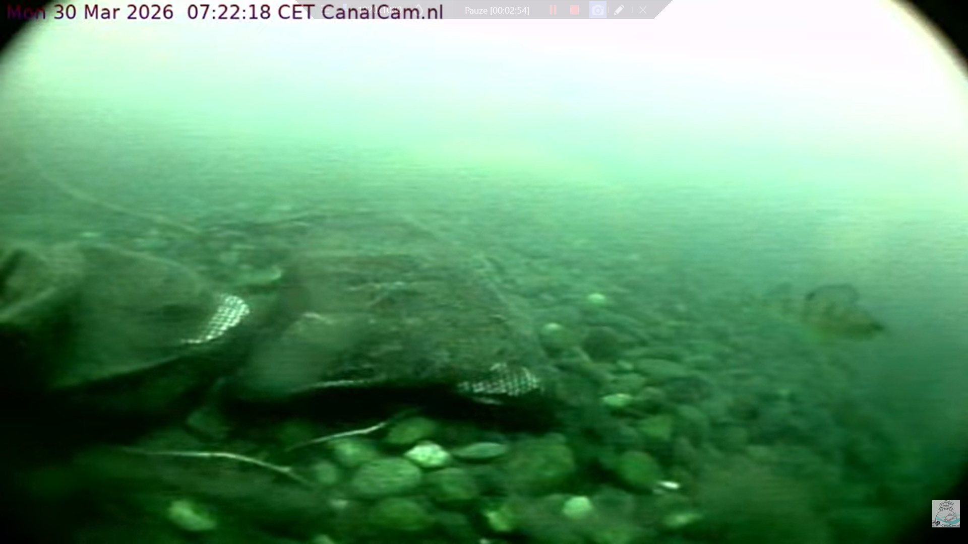 Wat doen die zakken linksonder in beeld?