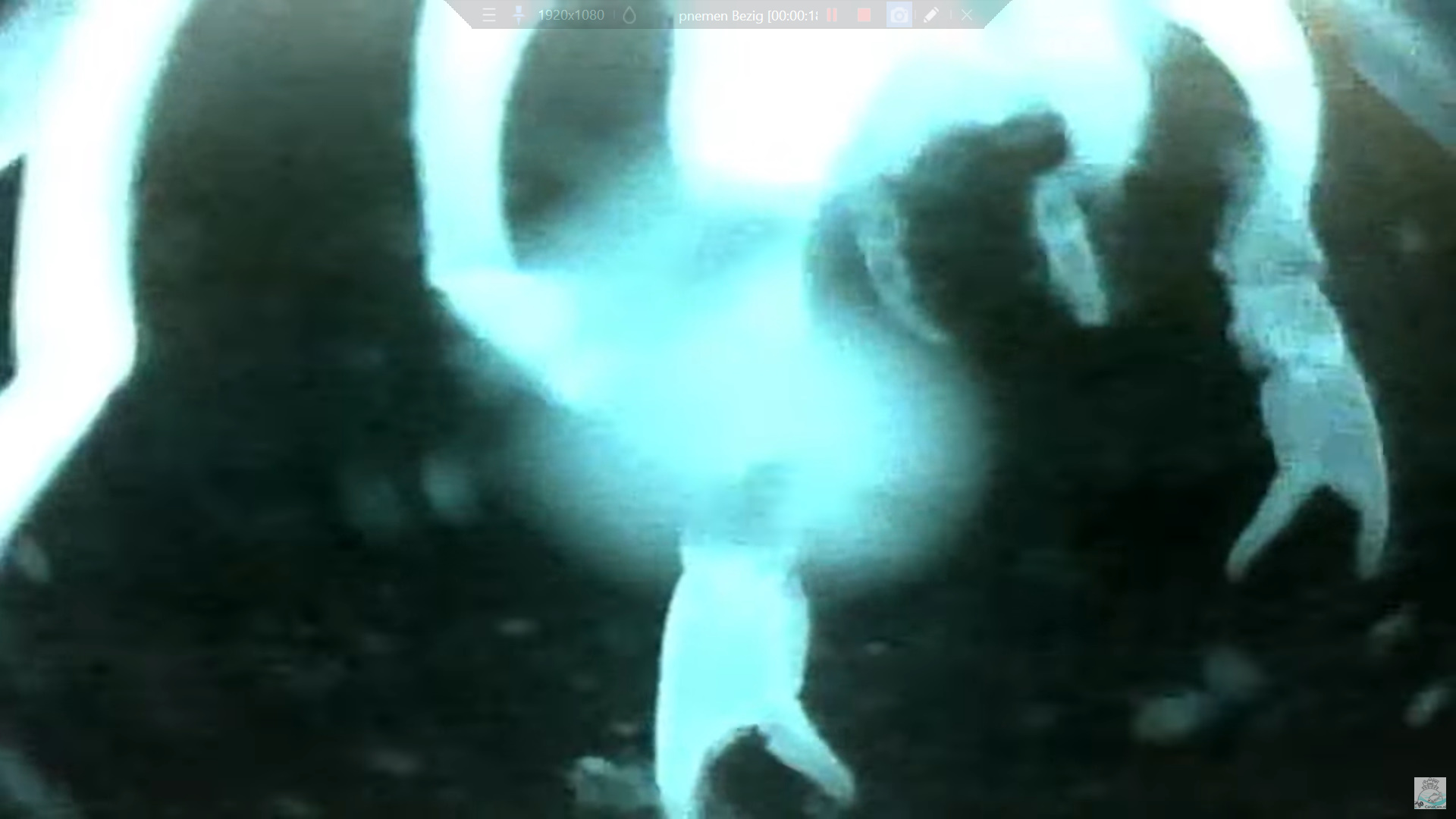 Rode Am./Louisiana crayfish (at night)