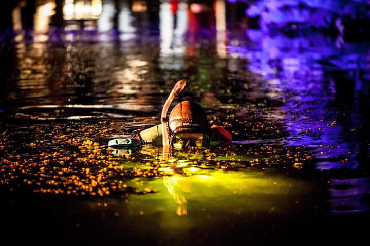 2016 Nacht van Ontdekkingen c Hortus botanicus Leiden