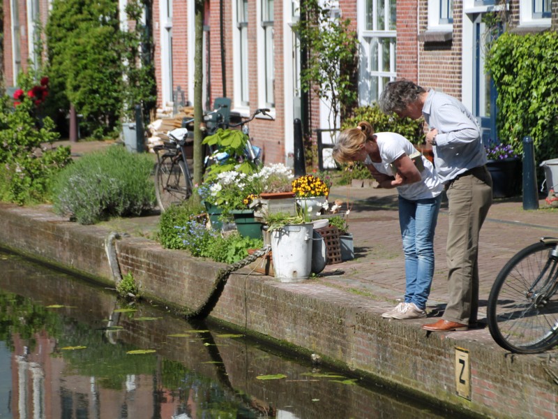 Two neighbours spotting a pike