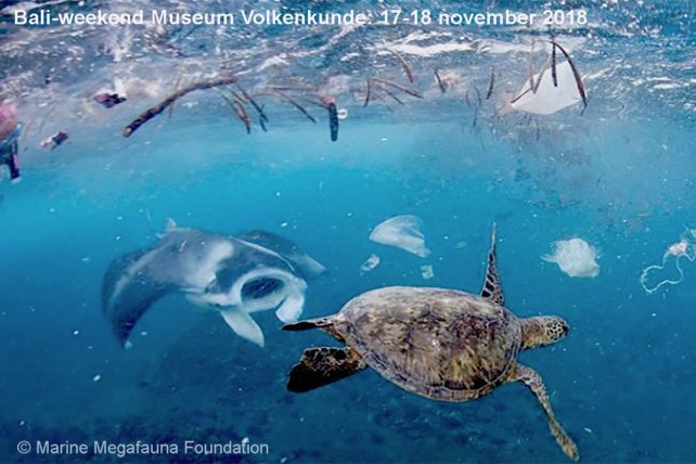 Bali - zwemmen in het plastic, een wereldwijd probleem