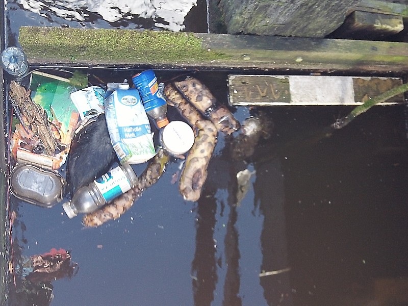 onderwaterinleiden taskforce-drijvuilvissen hotspot