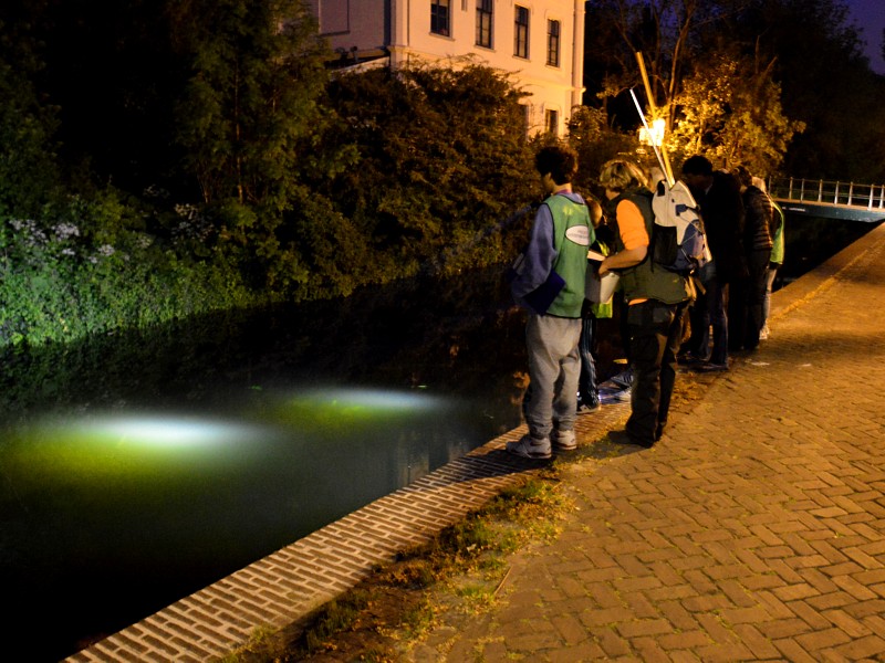 Zaklampvissen met wijkgenoten langs de Binnenvestgracht