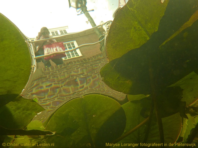 onderwaterinleiden pieterswijk maryse lelies