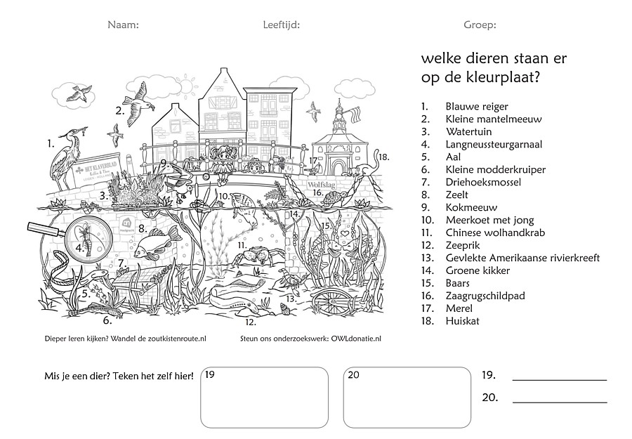 De kleurplaat met legenda op één pagina