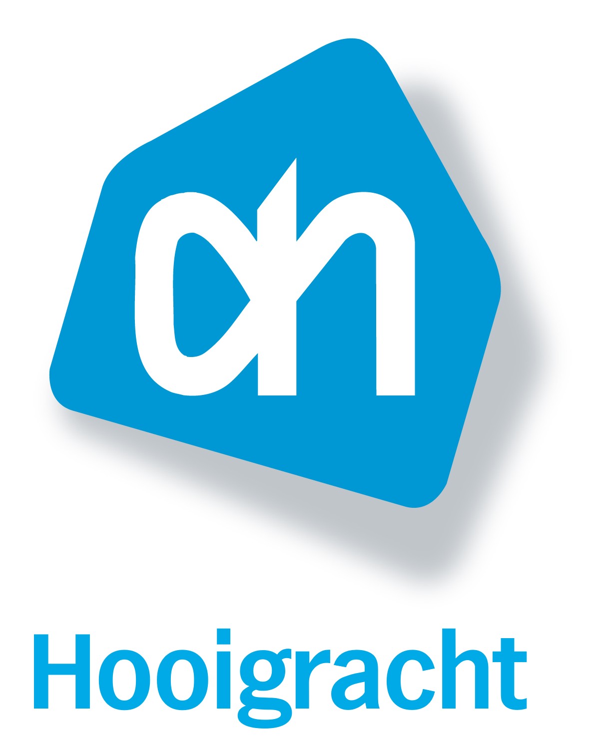 albertheijn hooigracht leiden