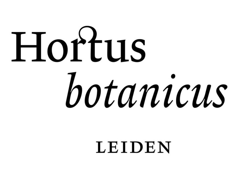 Hortus botanicus Leiden