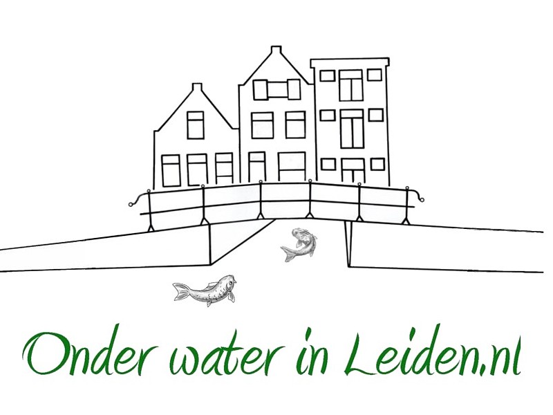 Onder water in Leiden.nl - over schone grachten het leven daarin