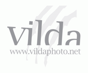 Vildaphoto