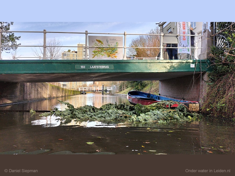 kerstboom als kunstrif in de Binnenvestgracht Leiden