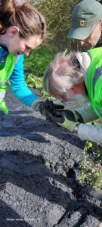 Gerard bekijkt een tuinwolfspin