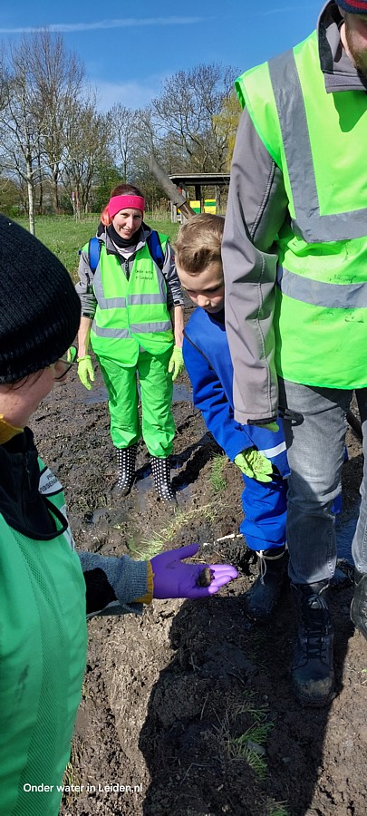Deelnemers kijken naar de pad die werd gered