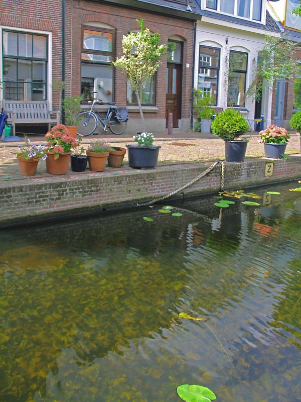 Het doorzicht is van (gemiddeld) mei t/m oktober fenomenaal in Havenwijk-Zuid in Leiden