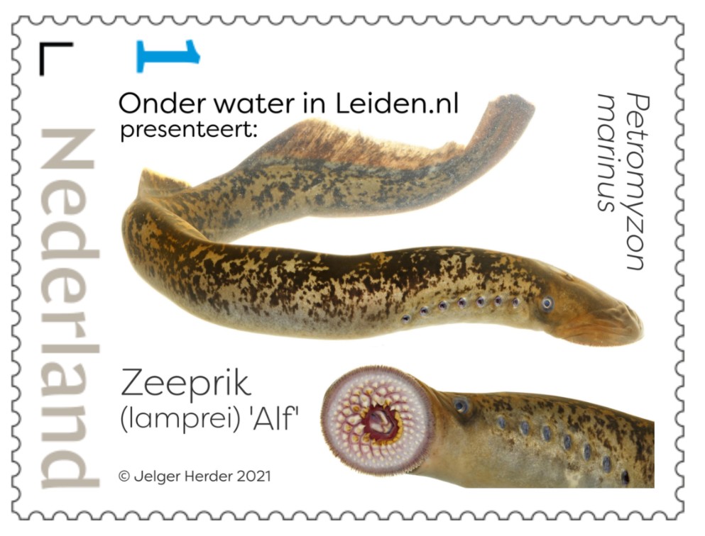 Zeeprik Alf op zijn eigen postzegel