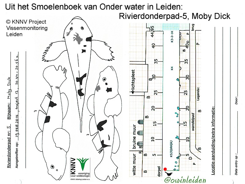 Kan de populatiegrootte per diersoort vastgesteld worden m.b.v het Smoelenboek?