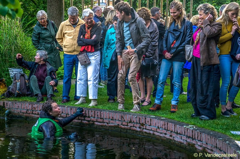 Midzomernachtfeest in de Hortus Leiden