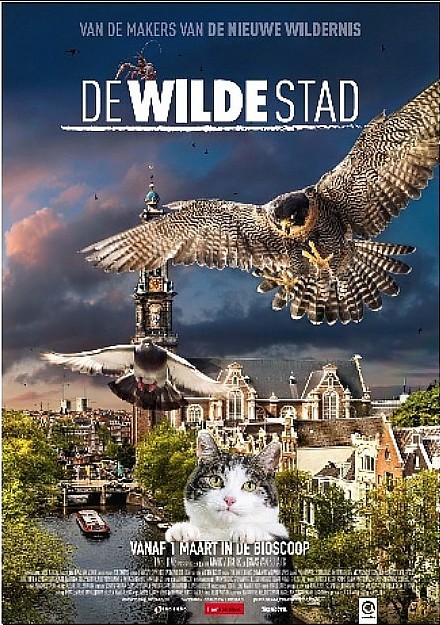 De Wilde Stad draait in Lido, Leiden