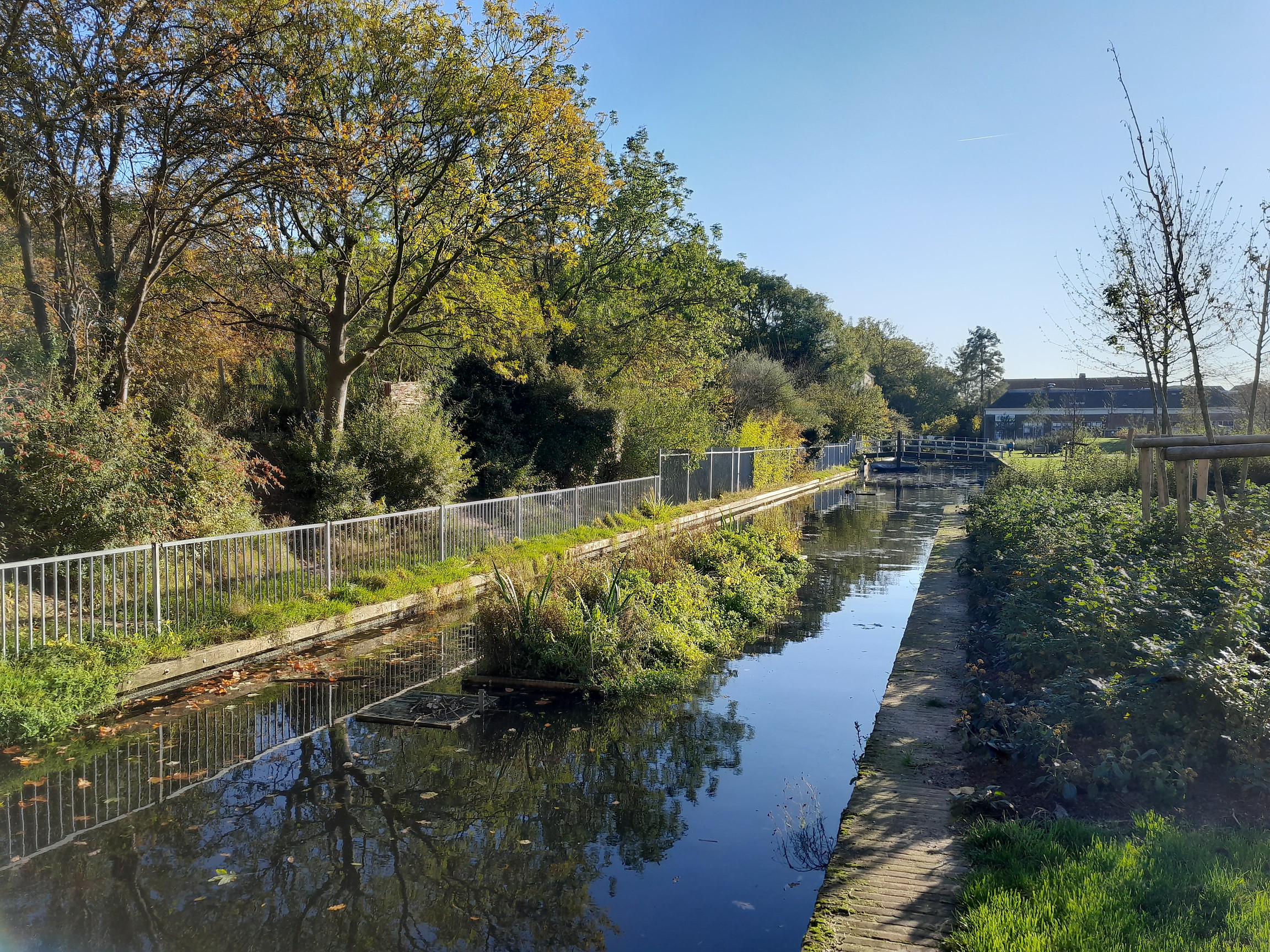 watertuinen Binnenvestgracht na 4 maanden binnenvestgracht kijkrichting Natuurspeeltuin de Doorbraak en Begraafplaats kijkrichting begraafplaats Groenesteeg 28okt