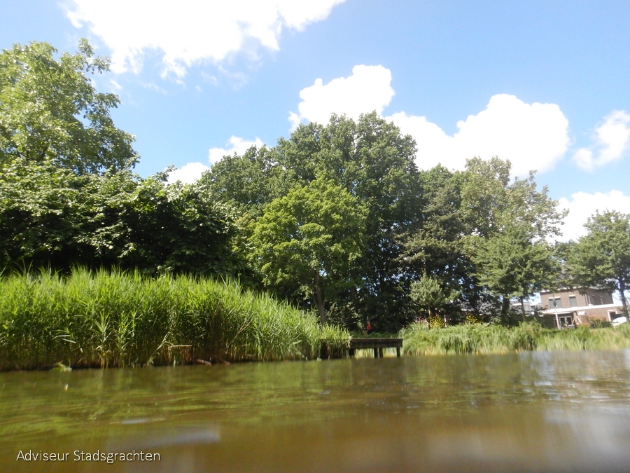 jun2022 vijver locatiefoto bij steiger