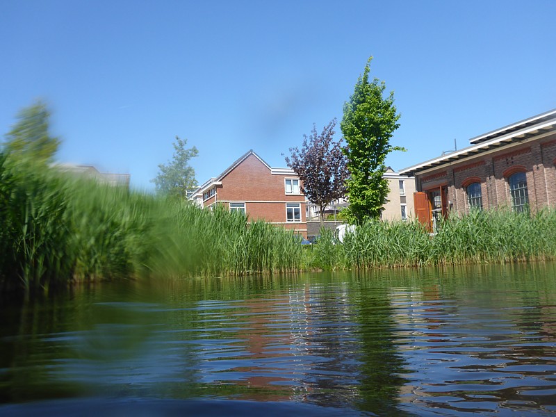 Nieuw Leyden heeft een schat aan onderwaterleven!