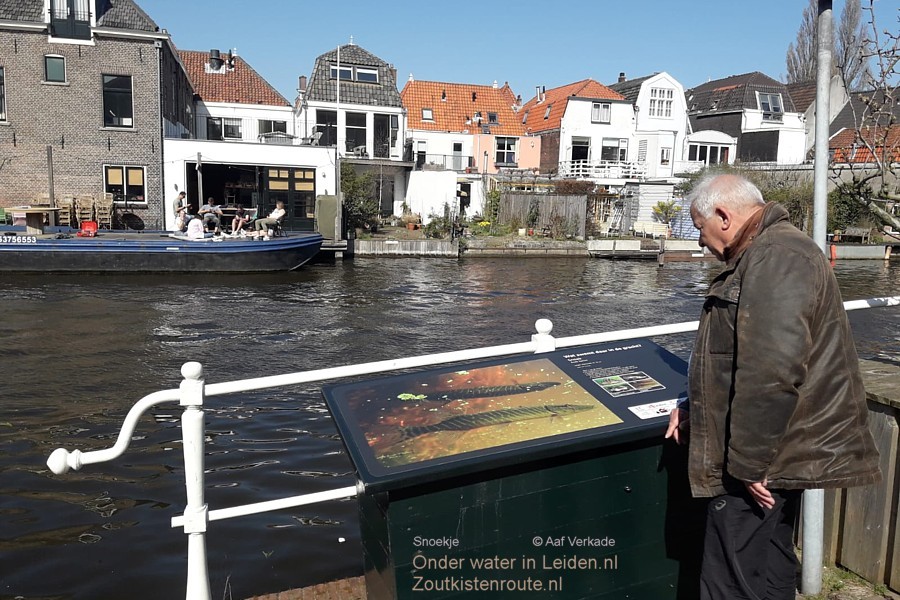 Direct na de montage kwam er al een buurtbewoner kijken welk snoekje er op de foto was gezet